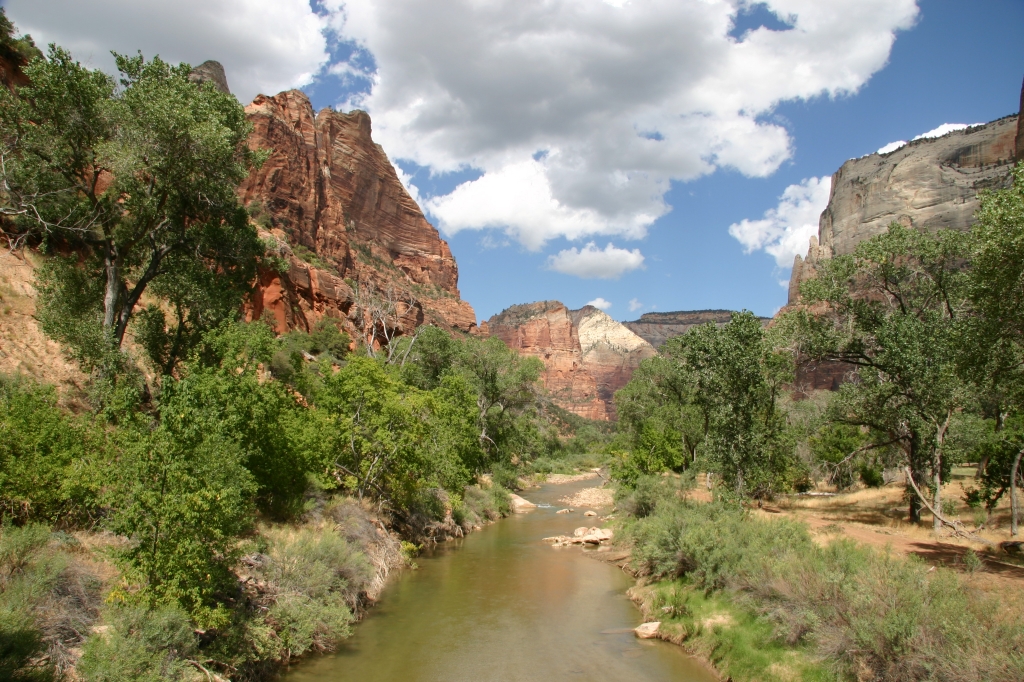05 - Zion NP (8).JPG
